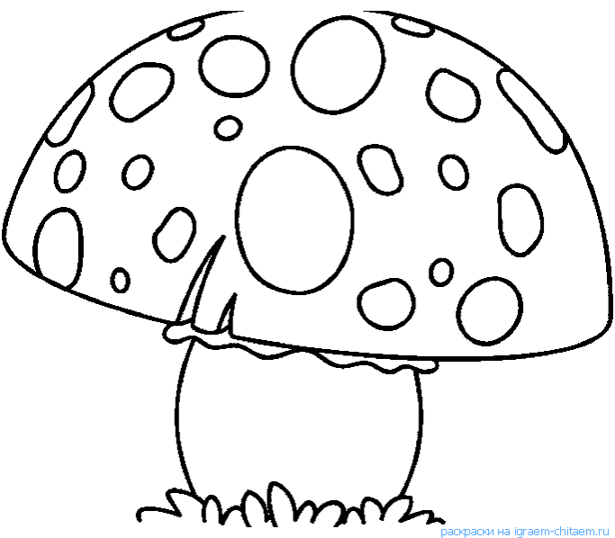 mushroom101